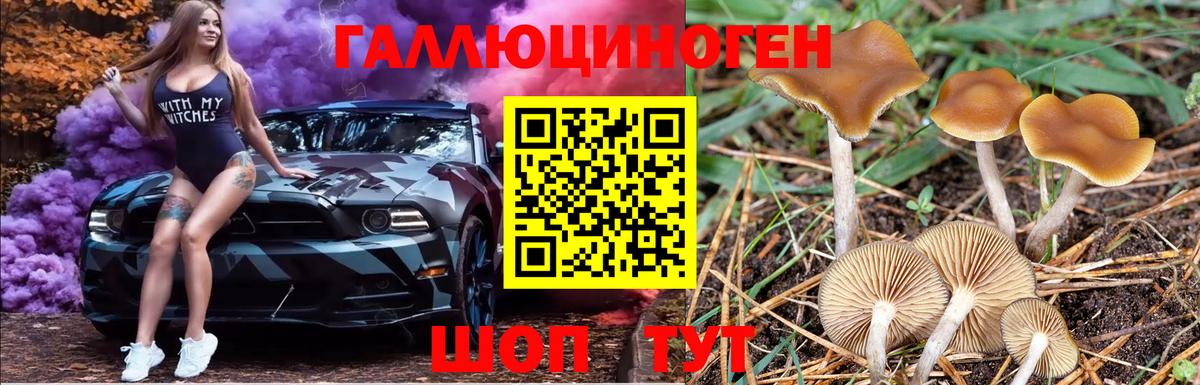 Галлюциногенные грибы мухоморы Великие Луки